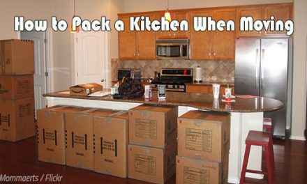 How to Pack a Kitchen When Moving: The Pack-In-One-Bite Guide